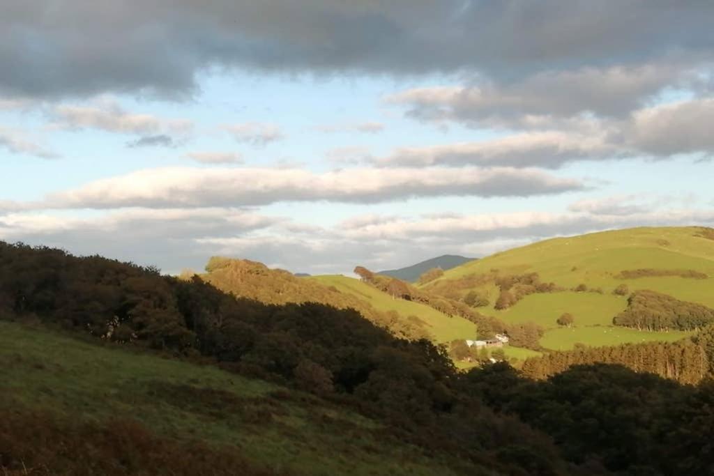 Bwthyn Gweilch * Machynlleth