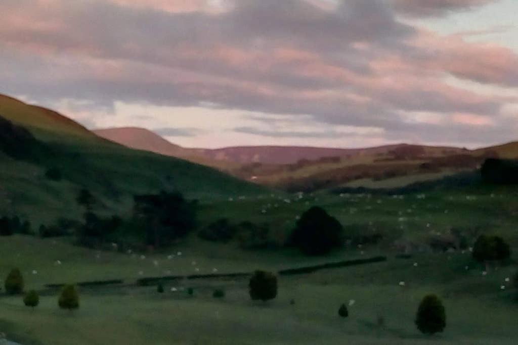 Bwthyn Gweilch Holiday home *
